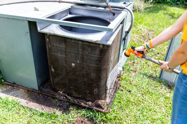 Best Home Air Vent Cleaning  in Alb, IA