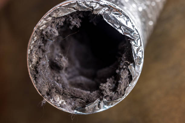 Best Best Air Duct Cleaning Company  in Alb, IA