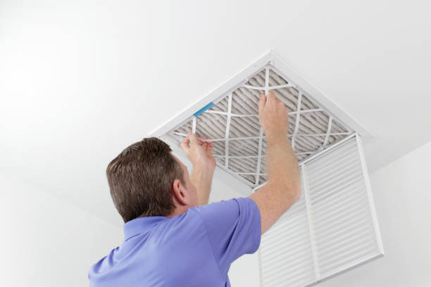 Best HVAC System Cleaning  in Alb, IA